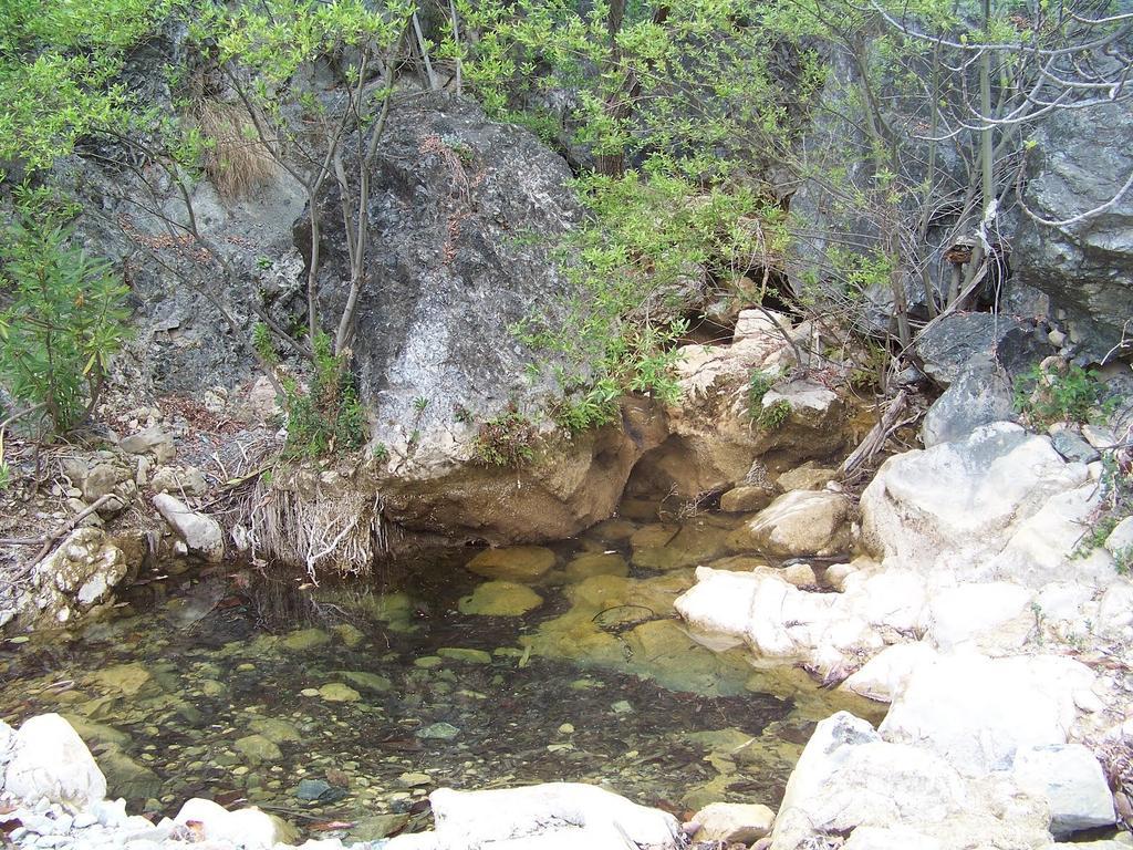 Hostal Sango Sierra De Las Nieves Alozaina Eksteriør bilde